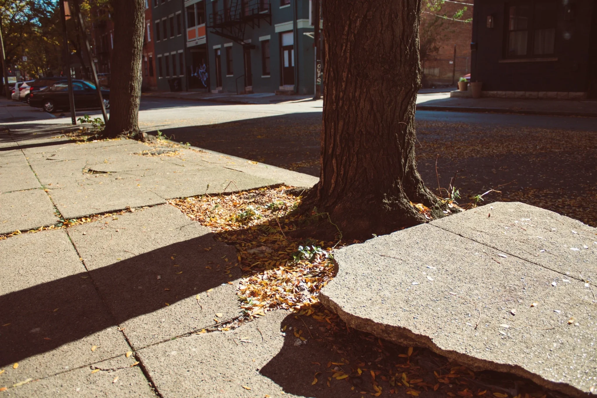 Best Sidewalk Repair Contractors